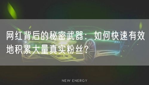 网红背后的秘密武器：如何快速有效地积累大量真实粉丝？