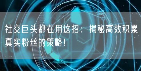 社交巨头都在用这招：揭秘高效积累真实粉丝的策略！