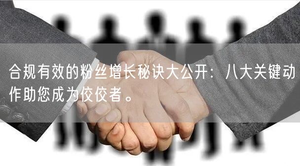合规有效的粉丝增长秘诀大公开：八大关键动作助您成为佼佼者。