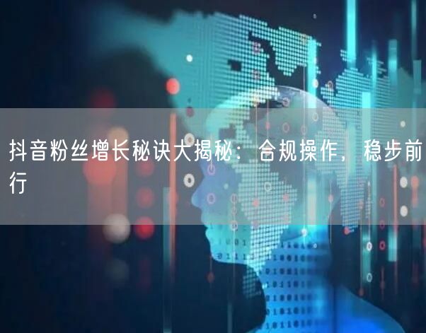 抖音粉丝增长秘诀大揭秘:合规操作,稳步前行