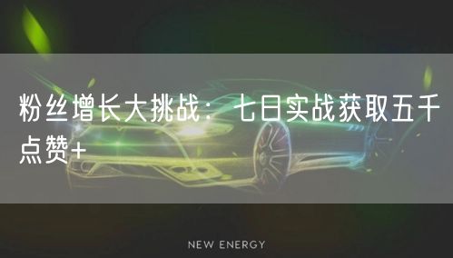 粉丝增长大挑战：七日实战获取五千点赞+