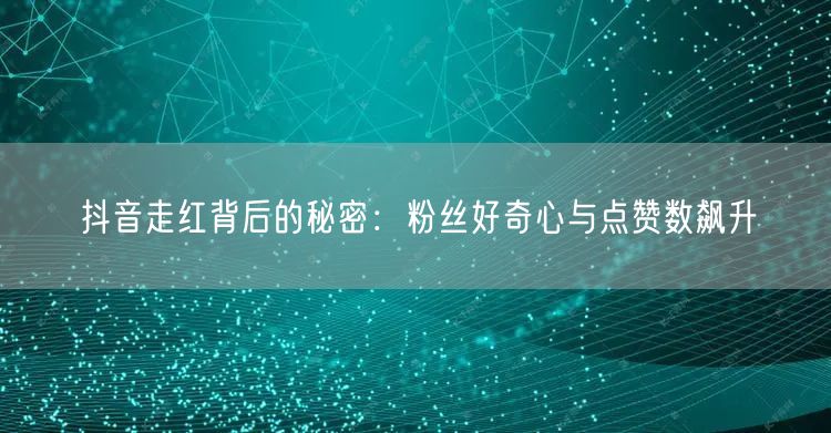 抖音走红背后的秘密:粉丝好奇心与点赞数飙升