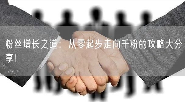 粉丝增长之道：从零起步走向千粉的攻略大分享！