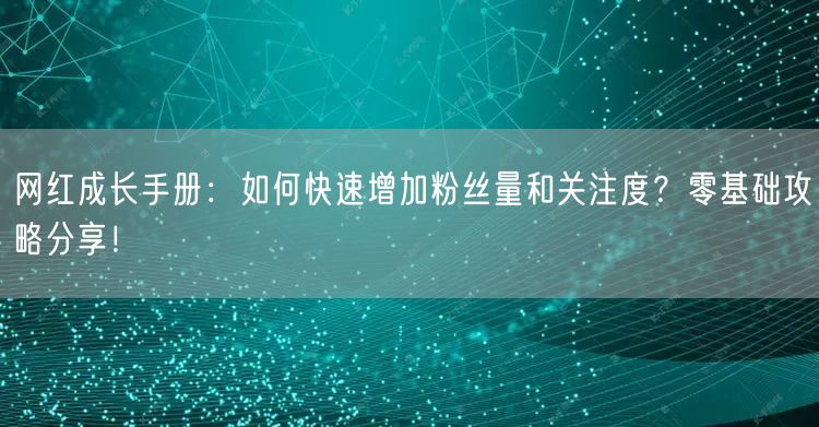 网红成长手册：如何快速增加粉丝量和关注度？零基础攻略分享！