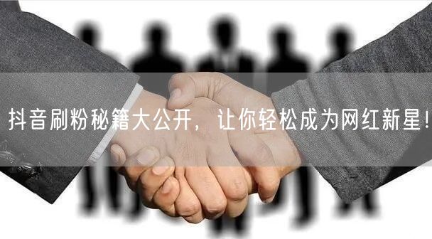 抖音刷粉秘籍大公开，让你轻松成为网红新星！