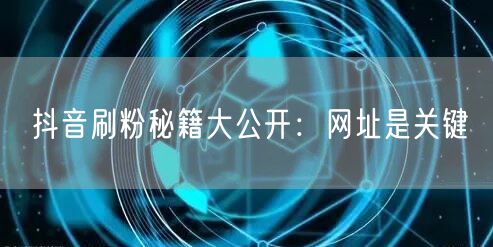 抖音刷粉秘籍大公开：网址是关键