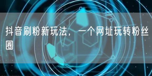 抖音刷粉新玩法，一个网址玩转粉丝圈