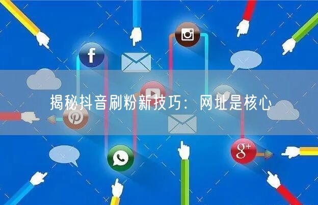 揭秘抖音刷粉新技巧：网址是核心