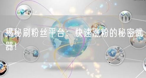 揭秘刷粉丝平台：快速涨粉的秘密武器！