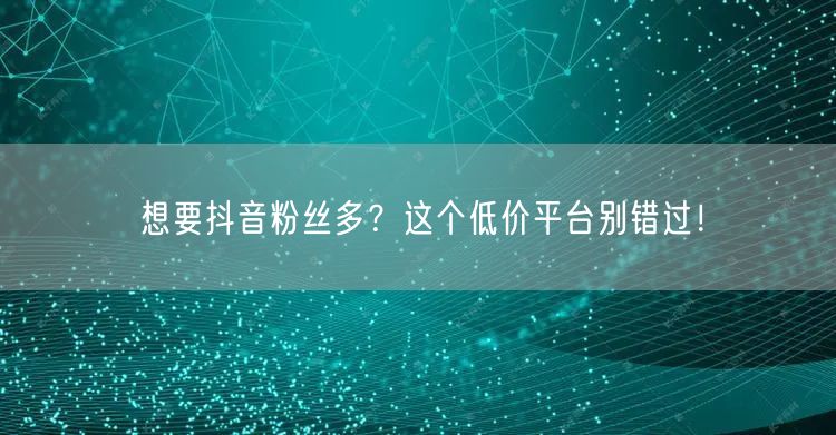 想要抖音粉丝多？这个低价平台别错过！