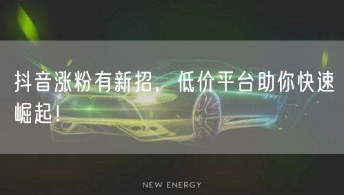抖音涨粉有新招，低价平台助你快速崛起！