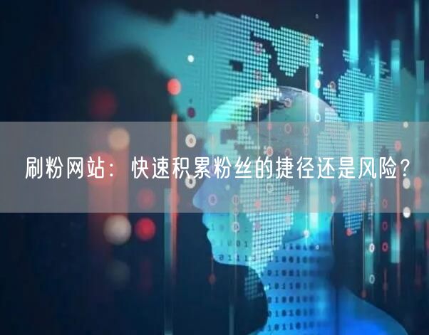 刷粉网站：快速积累粉丝的捷径还是风险？