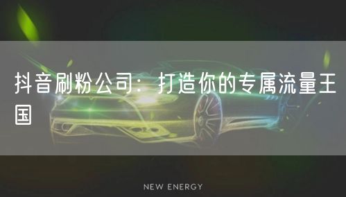 抖音刷粉公司：打造你的专属流量王国