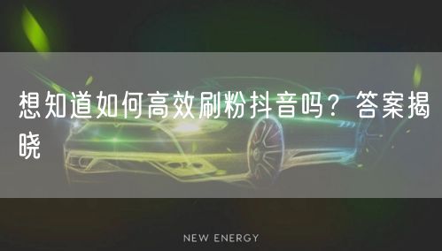 想知道如何高效刷粉抖音吗？答案揭晓