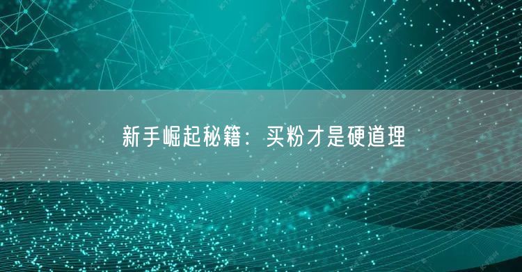 新手崛起秘籍：买粉才是硬道理