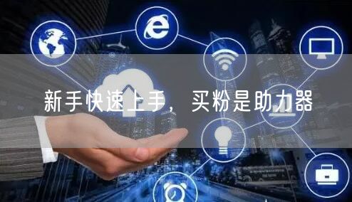 新手快速上手，买粉是助力器