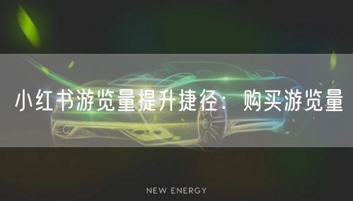 小红书游览量提升捷径：购买游览量