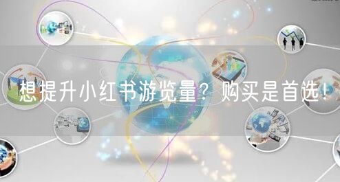 想提升小红书游览量？购买是首选！