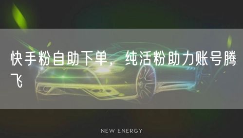 快手粉自助下单，纯活粉助力账号腾飞