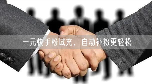 一元快手粉试充，自动补粉更轻松