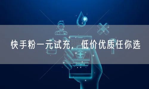 快手粉一元试充，低价优质任你选