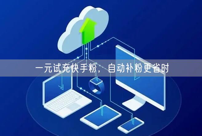 一元试充快手粉，自动补粉更省时
