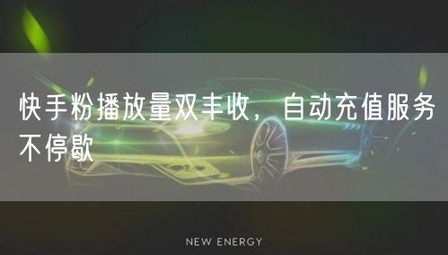 快手粉播放量双丰收，自动充值服务不停歇