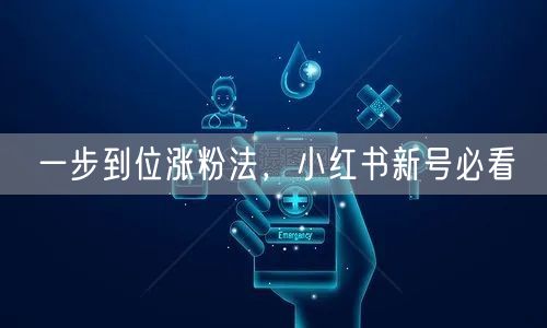 一步到位涨粉法，小红书新号必看