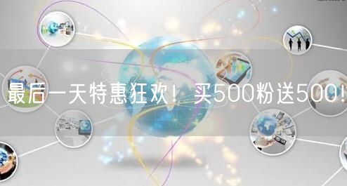 最后一天特惠狂欢！买500粉送500！