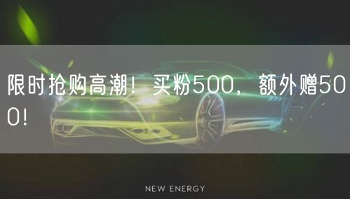 限时抢购高潮！买粉500，额外赠500！