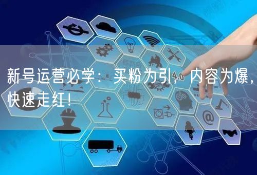 新号运营必学：买粉为引，内容为爆，快速走红！