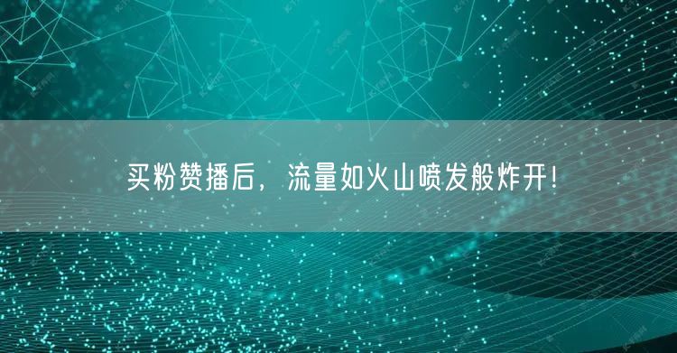 买粉赞播后，流量如火山喷发般炸开！