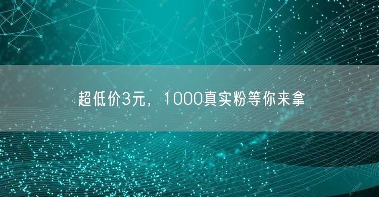 超低价3元，1000真实粉等你来拿