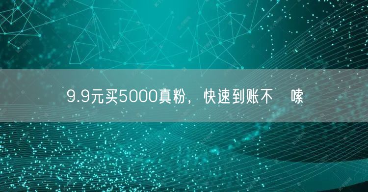 9.9元买5000真粉，快速到账不啰嗦
