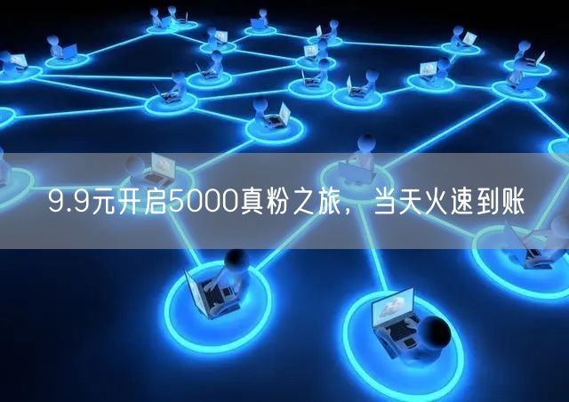 9.9元开启5000真粉之旅，当天火速到账