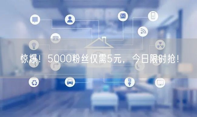 惊爆！5000粉丝仅需5元，今日限时抢！