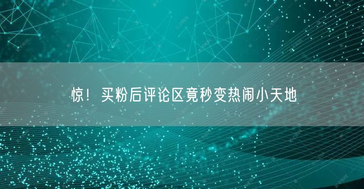 惊！买粉后评论区竟秒变热闹小天地