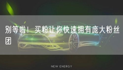 别等啦！买粉让你快速拥有庞大粉丝团