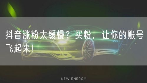 抖音涨粉太缓慢？买粉，让你的账号飞起来！