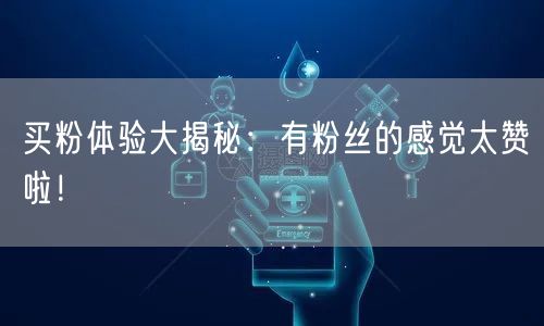 买粉体验大揭秘：有粉丝的感觉太赞啦！