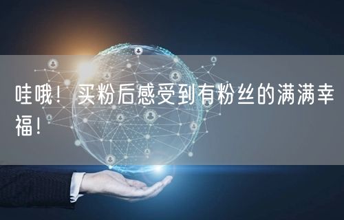 哇哦！买粉后感受到有粉丝的满满幸福！