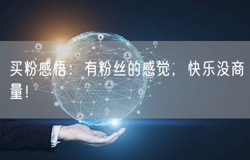 买粉感悟：有粉丝的感觉，快乐没商量！