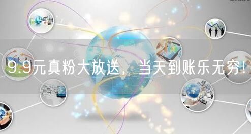 9.9元真粉大放送，当天到账乐无穷！