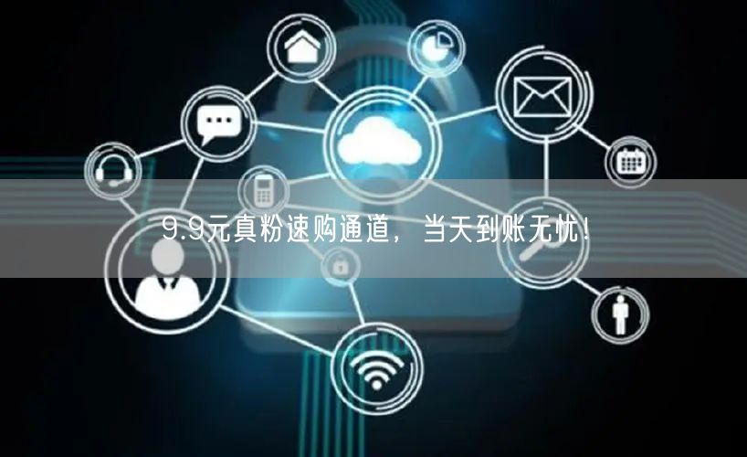 9.9元真粉速购通道，当天到账无忧！