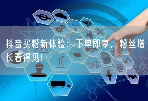 抖音买粉新体验：下单即享，粉丝增长看得见！