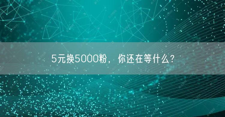 5元换5000粉，你还在等什么？