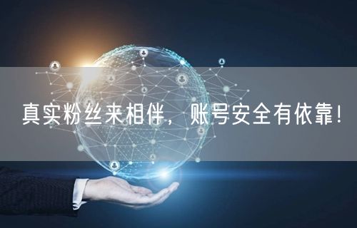 真实粉丝来相伴，账号安全有依靠！