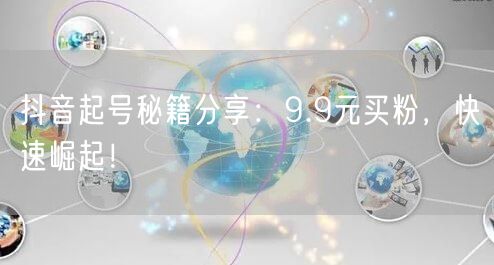 抖音起号秘籍分享：9.9元买粉，快速崛起！