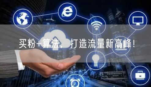 买粉+算法，打造流量新高峰！