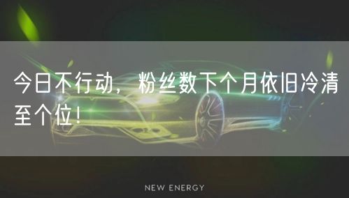 今日不行动，粉丝数下个月依旧冷清至个位！